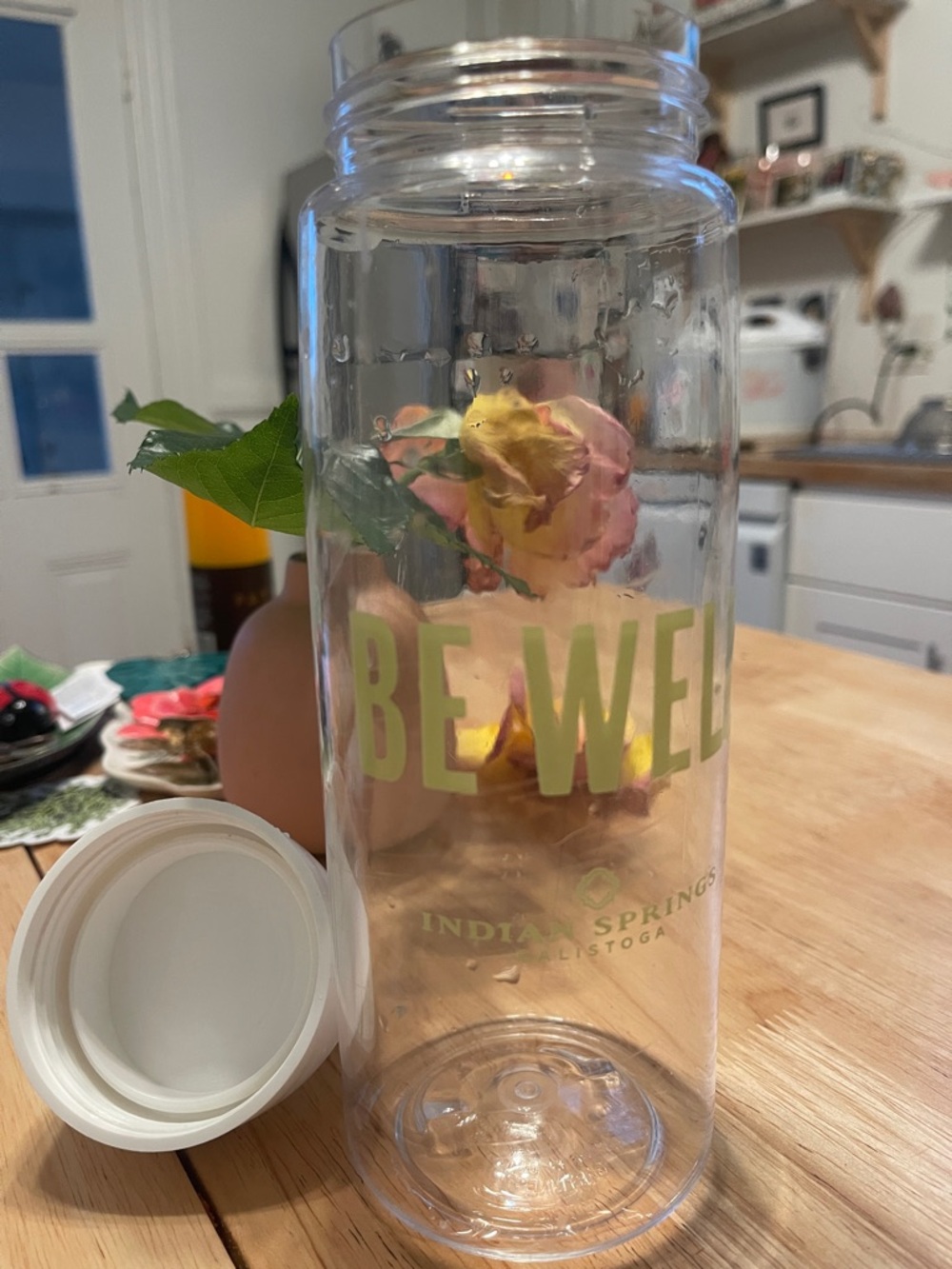 NWOT Indian Springs Water Bottle